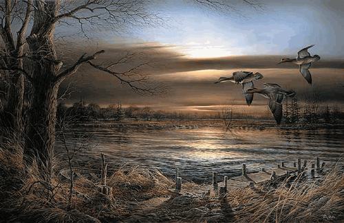(image for) Reflections Encore II